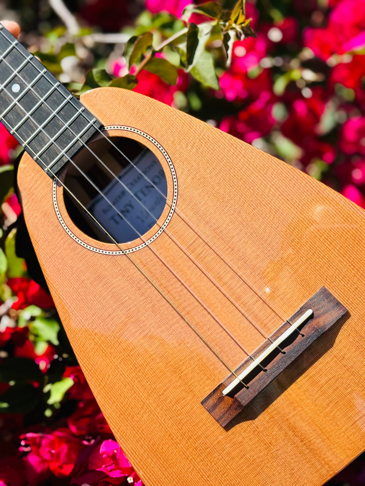 Gorgeous "Vibrante" Cedar Top Tiny Tenor Low G Ukulele Bundle Includes Case, Shipping, Humidifier and More!