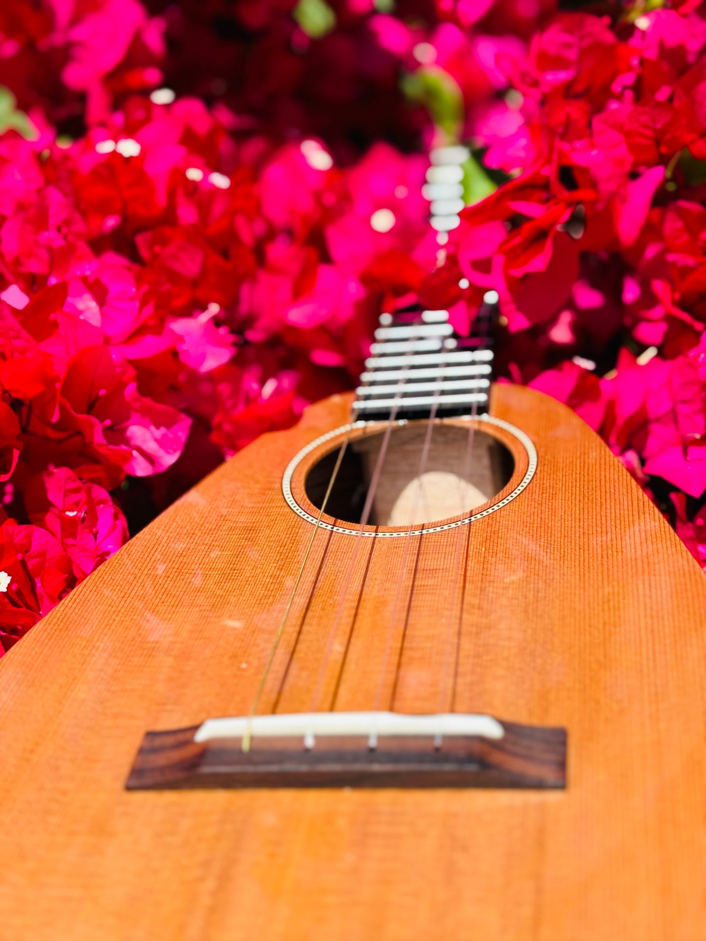 Gorgeous "Vibrante" Cedar Top Tiny Tenor Low G Ukulele Bundle Includes Case, Shipping, Humidifier and More!