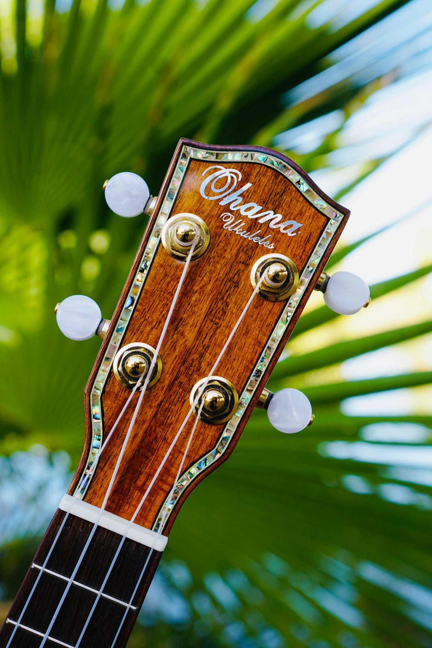 Magnificent All Solid Koa Soprano Ukulele BUNDLE with Hard Case & Accessories