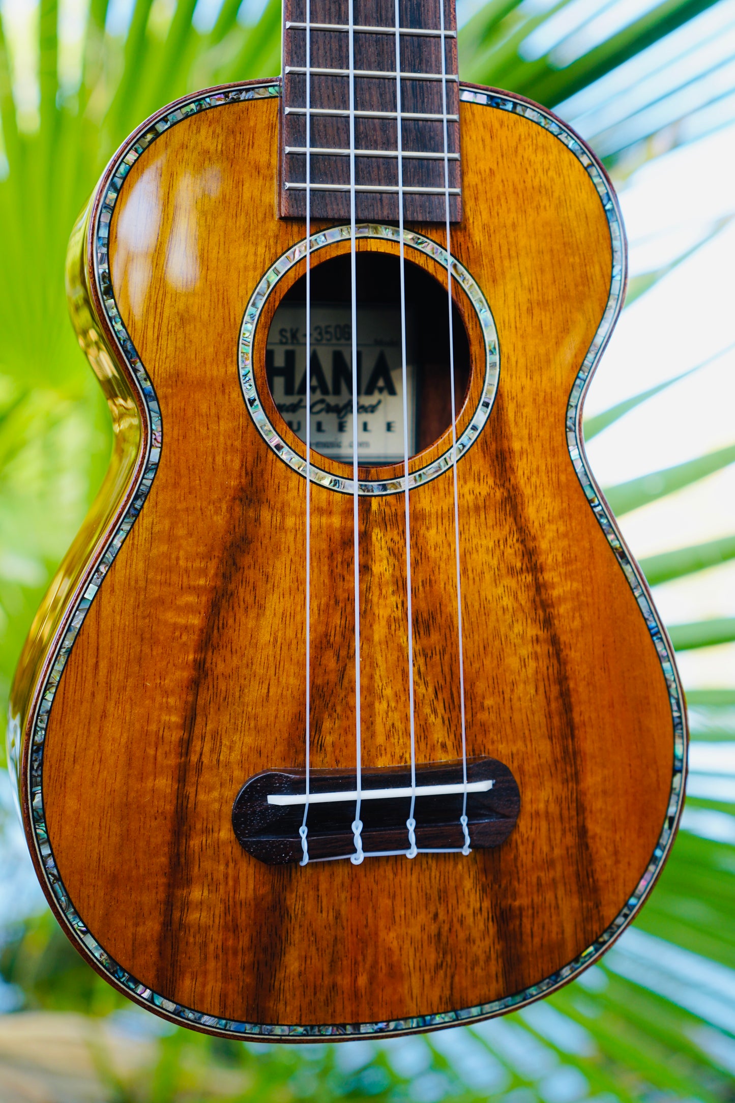 Magnificent All Solid Koa Soprano Ukulele BUNDLE with Hard Case & Accessories