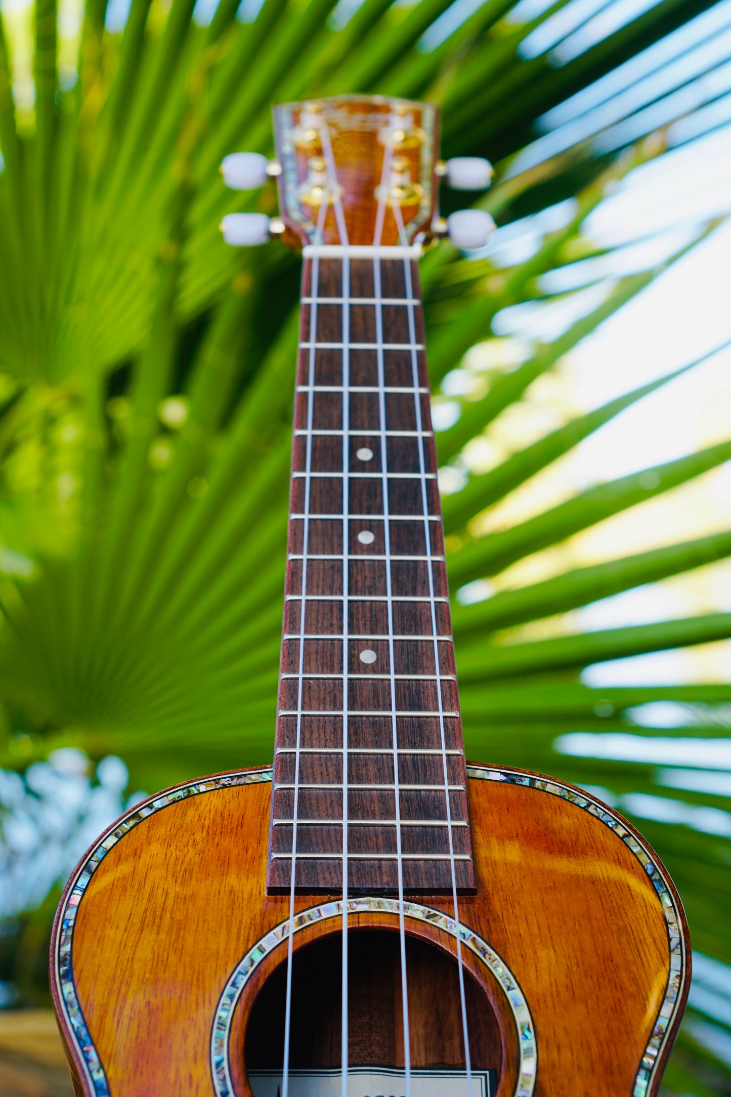 Magnificent All Solid Koa Soprano Ukulele BUNDLE with Hard Case & Accessories