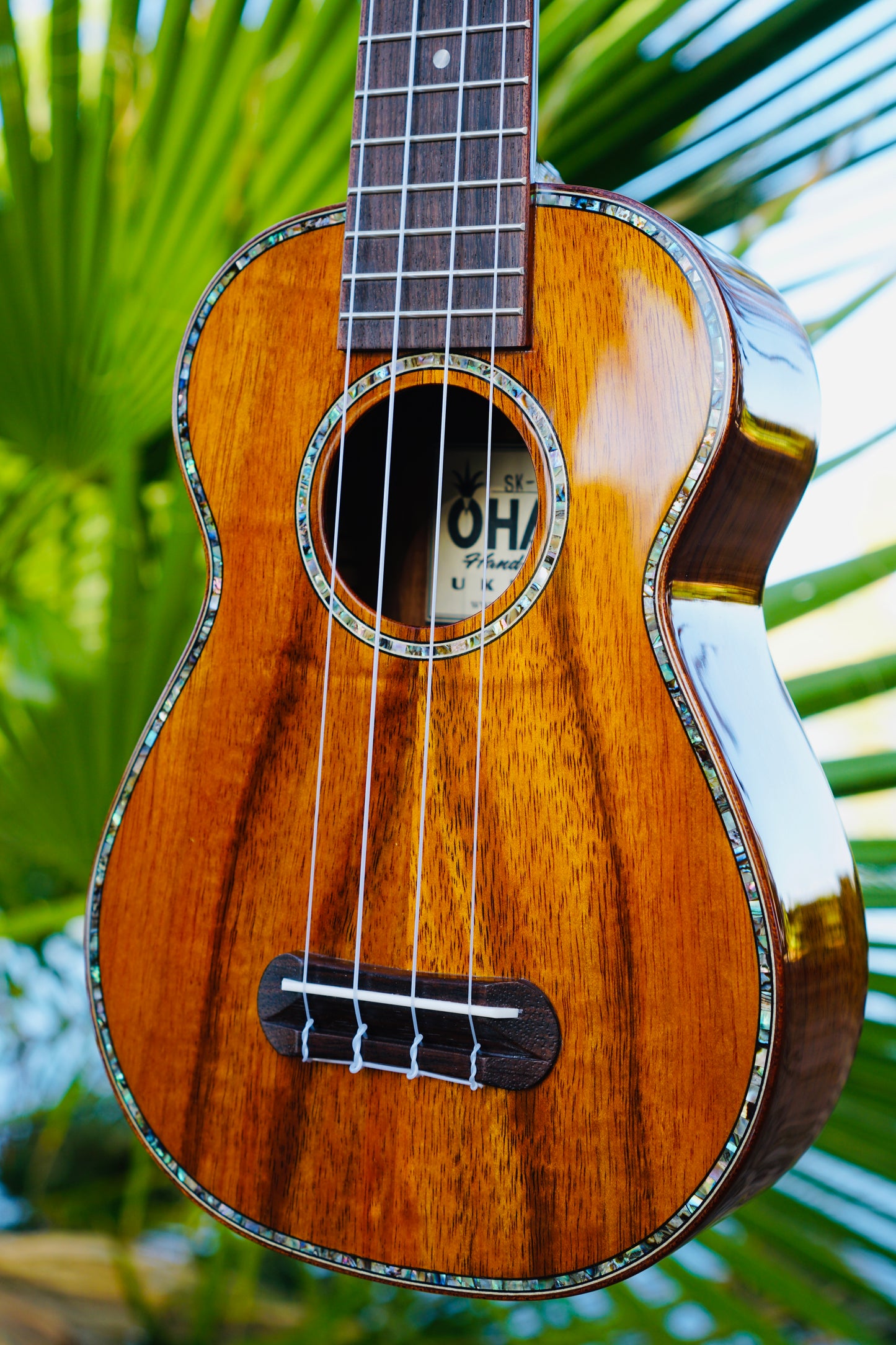 Magnificent All Solid Koa Soprano Ukulele BUNDLE with Hard Case & Accessories