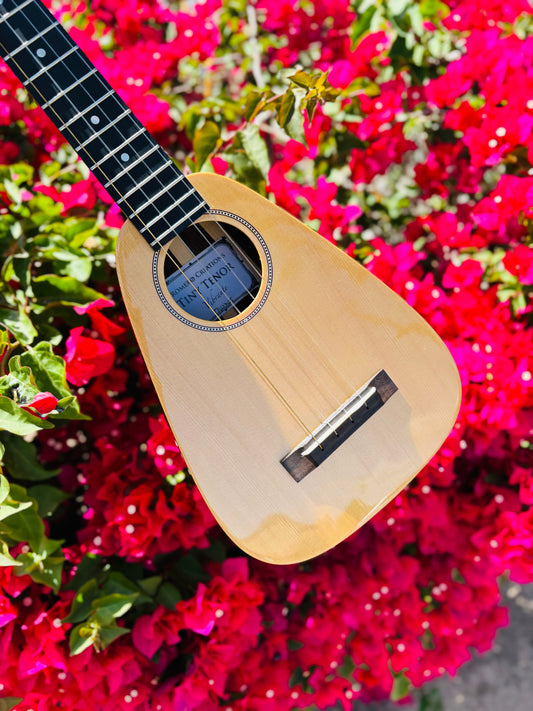 Gorgeous "Vibrante" Spruce Top Tiny Tenor Low G Ukulele Bundle Includes Case, Shipping, Humidifier and More!