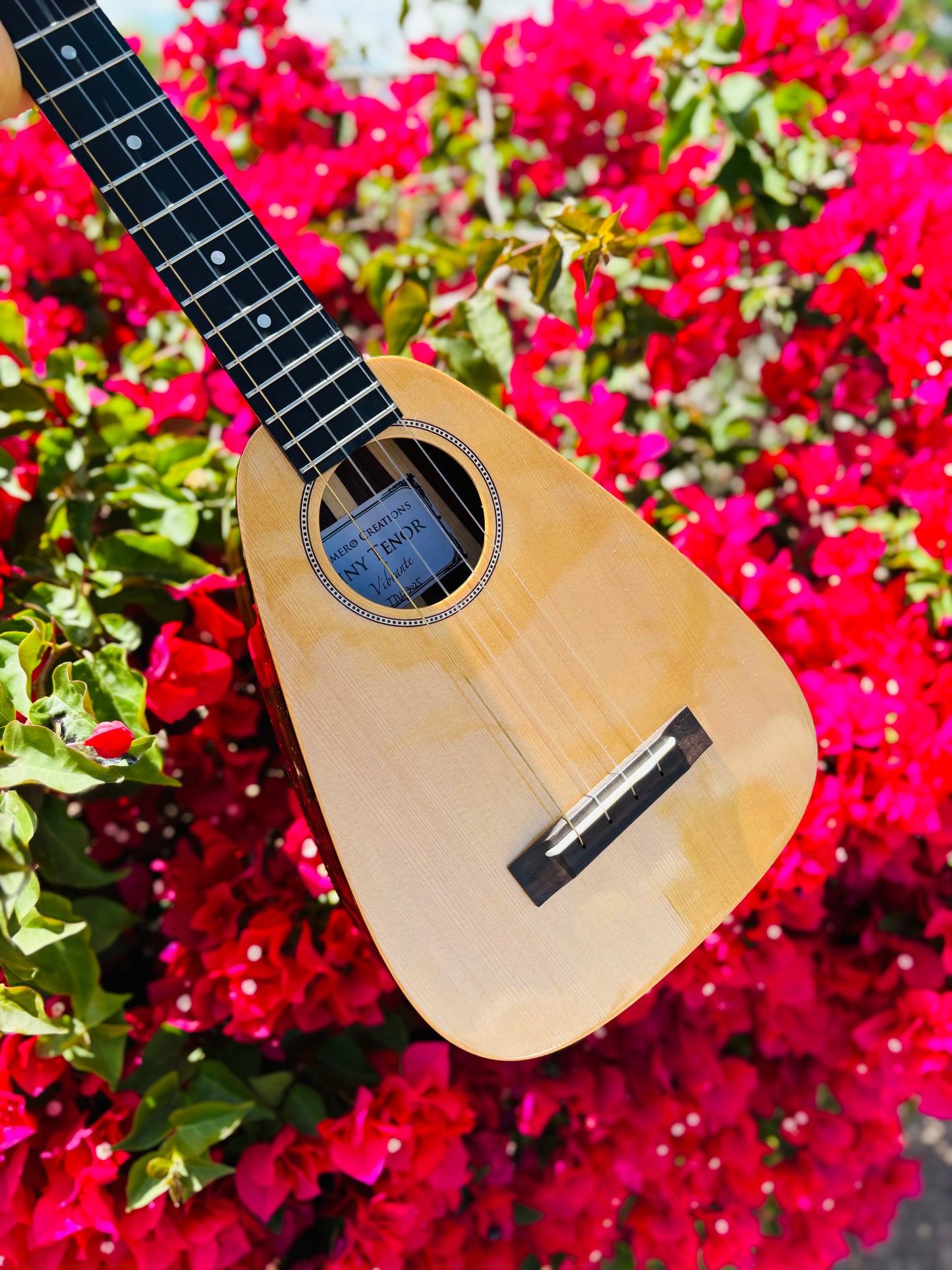 Gorgeous "Vibrante" Spruce Top Tiny Tenor Low G Ukulele Bundle Includes Case, Shipping, Humidifier and More!