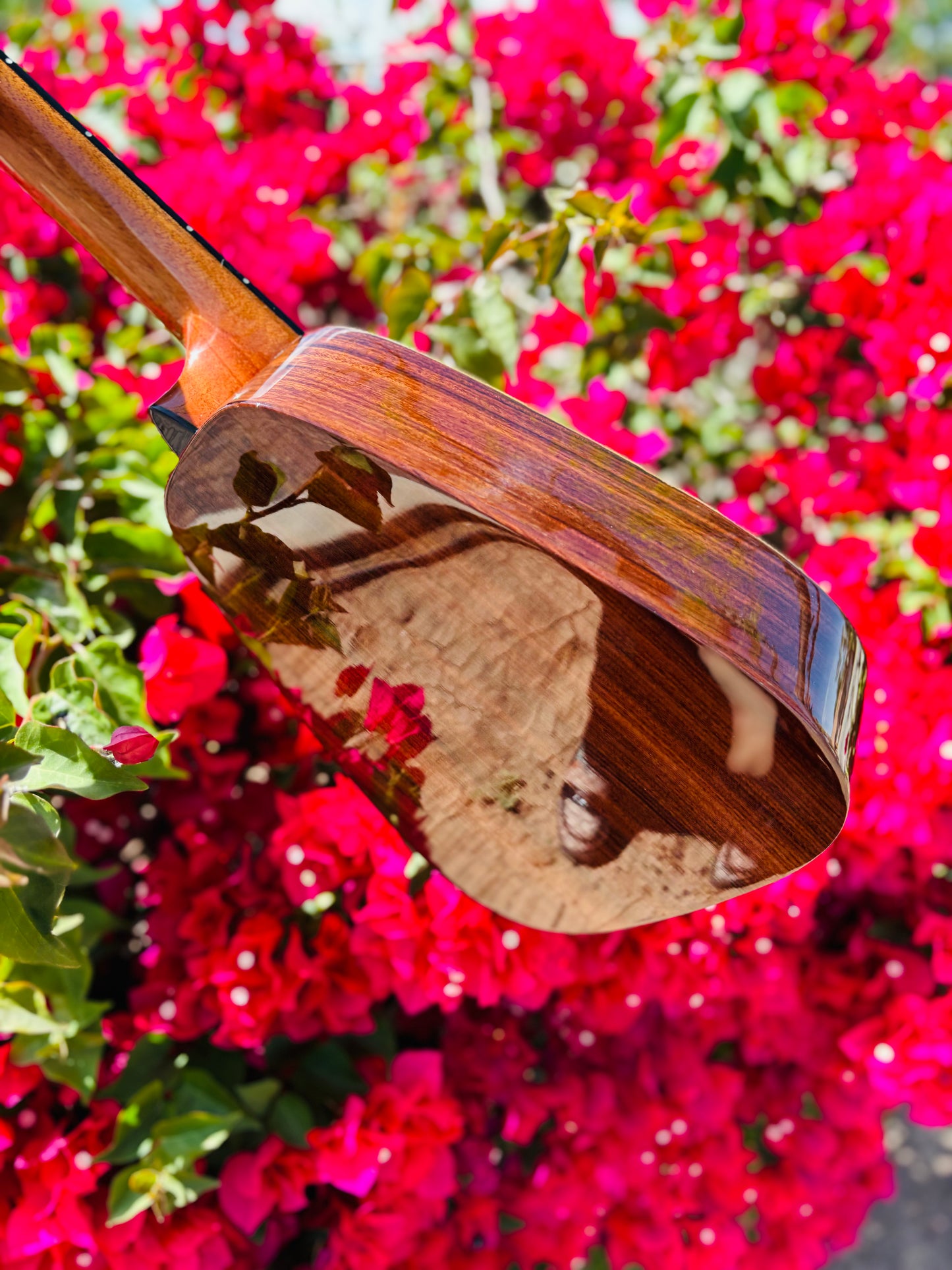 Gorgeous "Vibrante" Spruce Top Tiny Tenor Low G Ukulele Bundle Includes Case, Shipping, Humidifier and More!