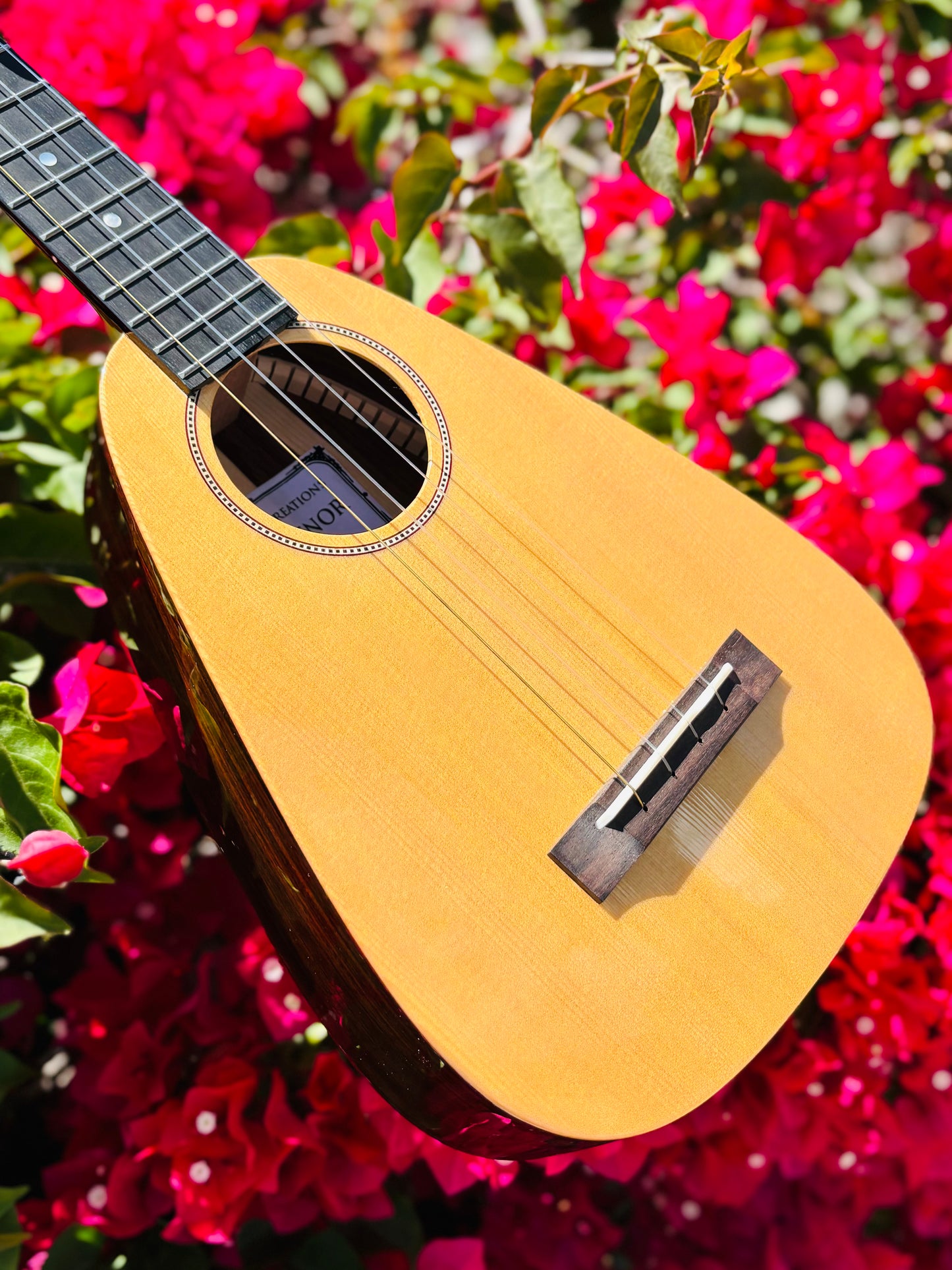 Gorgeous "Vibrante" Spruce Top Tiny Tenor Low G Ukulele Bundle Includes Case, Shipping, Humidifier and More!