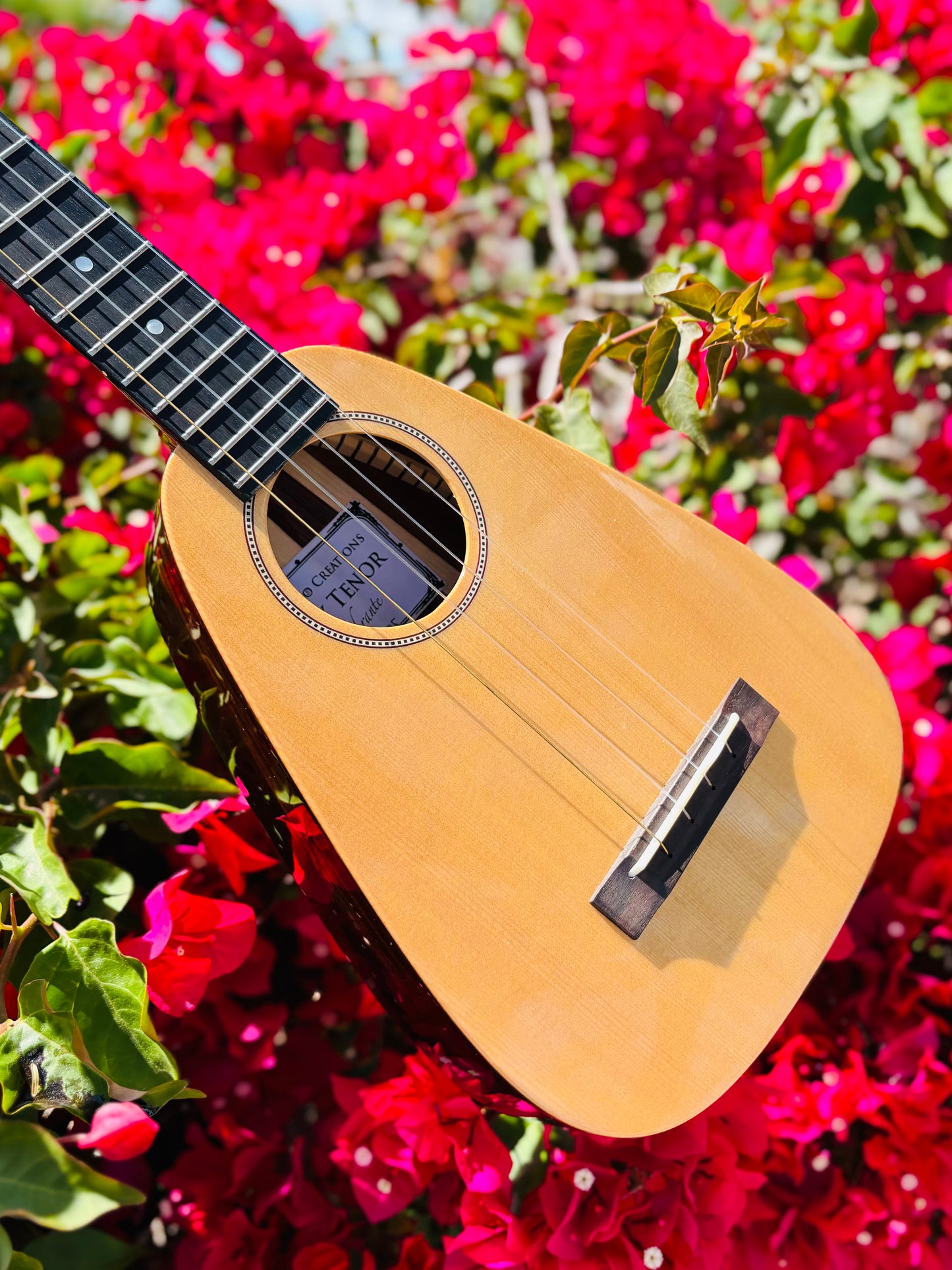 Gorgeous "Vibrante" Spruce Top Tiny Tenor Low G Ukulele Bundle Includes Case, Shipping, Humidifier and More!