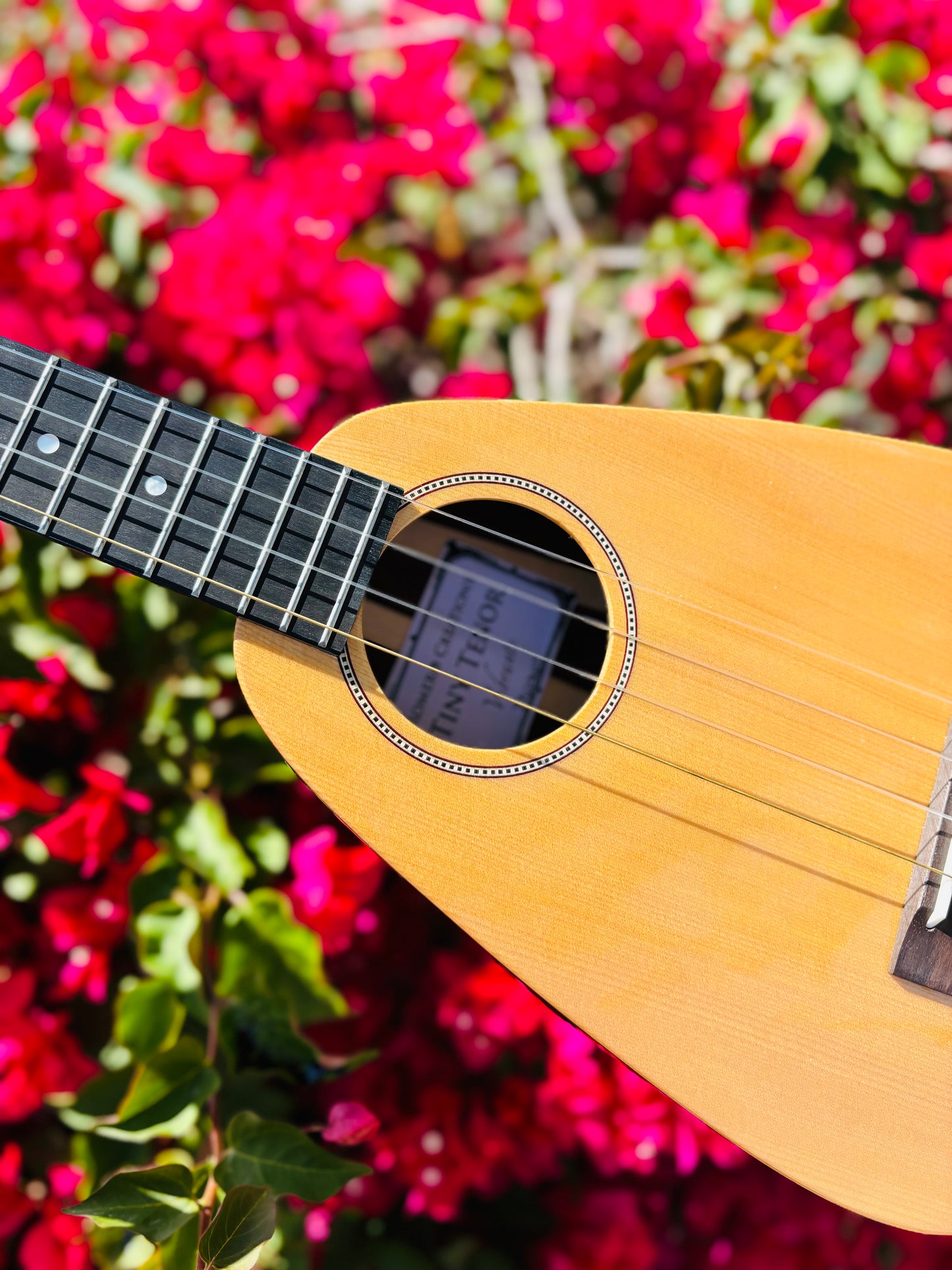 Gorgeous "Vibrante" Spruce Top Tiny Tenor Low G Ukulele Bundle Includes Case, Shipping, Humidifier and More!