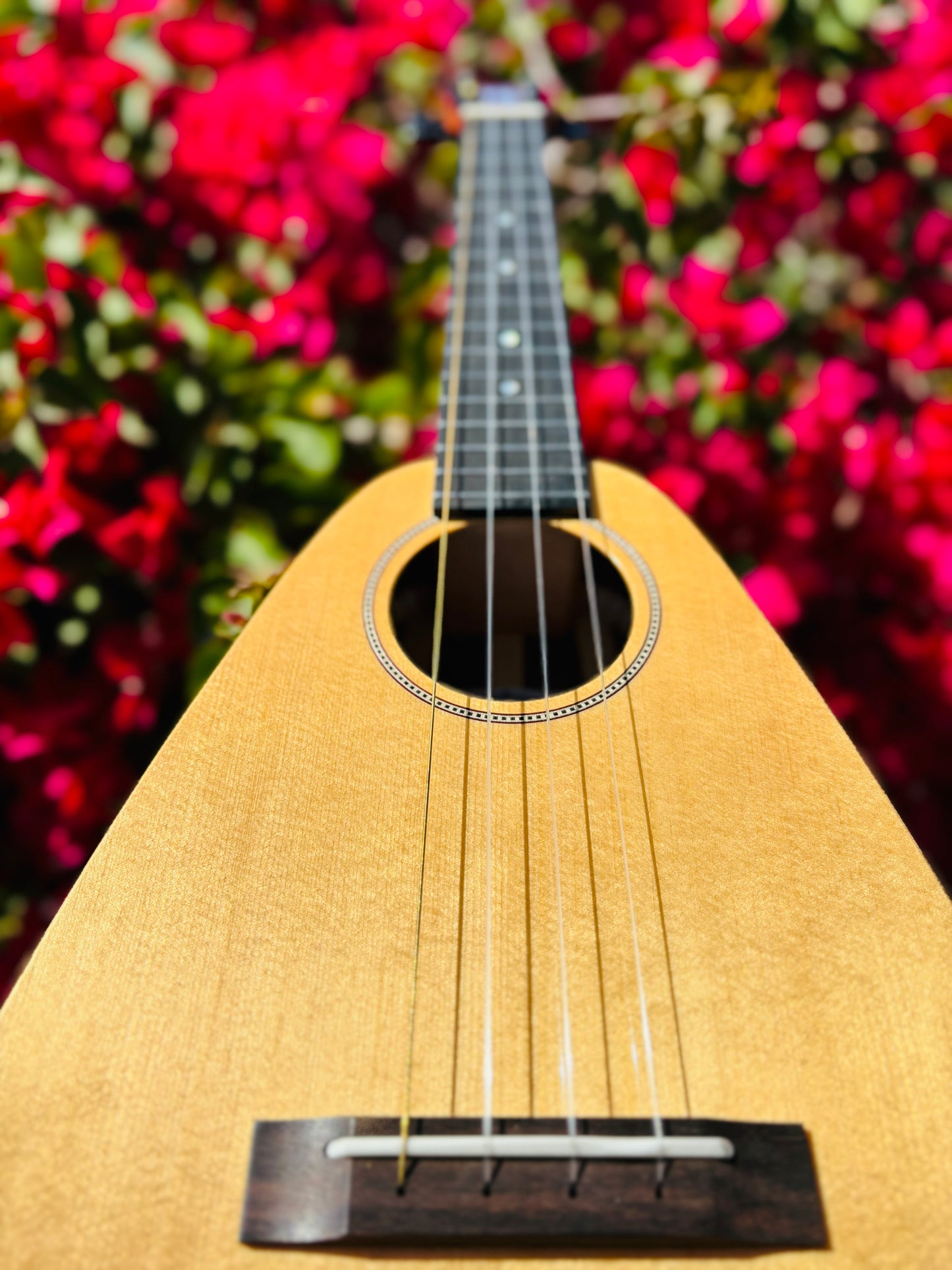 Gorgeous "Vibrante" Spruce Top Tiny Tenor Low G Ukulele Bundle Includes Case, Shipping, Humidifier and More!