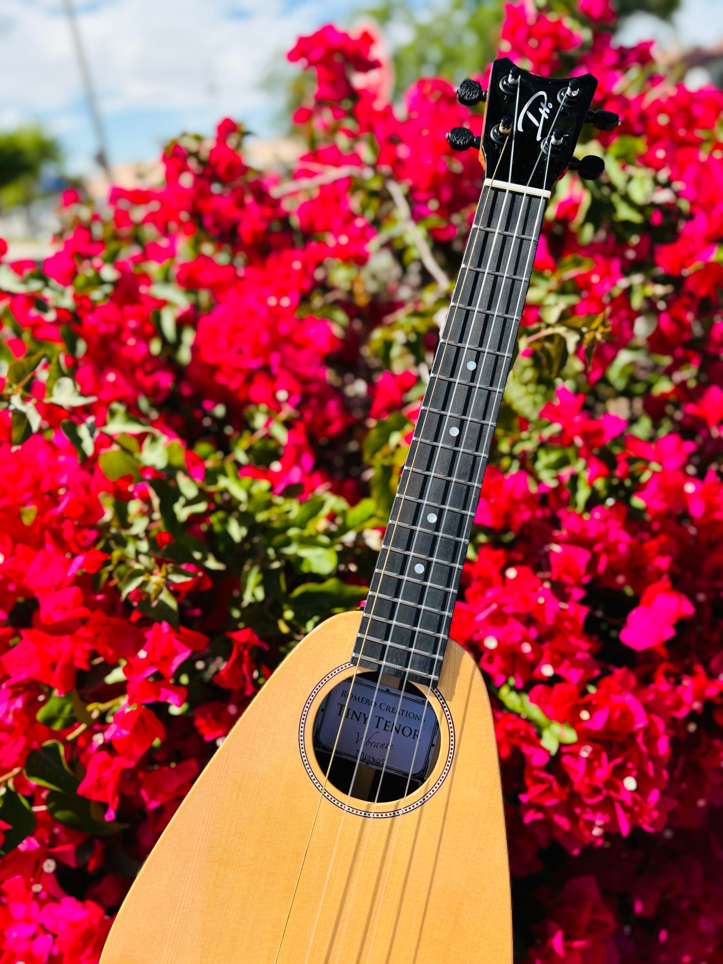 Gorgeous "Vibrante" Spruce Top Tiny Tenor Low G Ukulele Bundle Includes Case, Shipping, Humidifier and More!