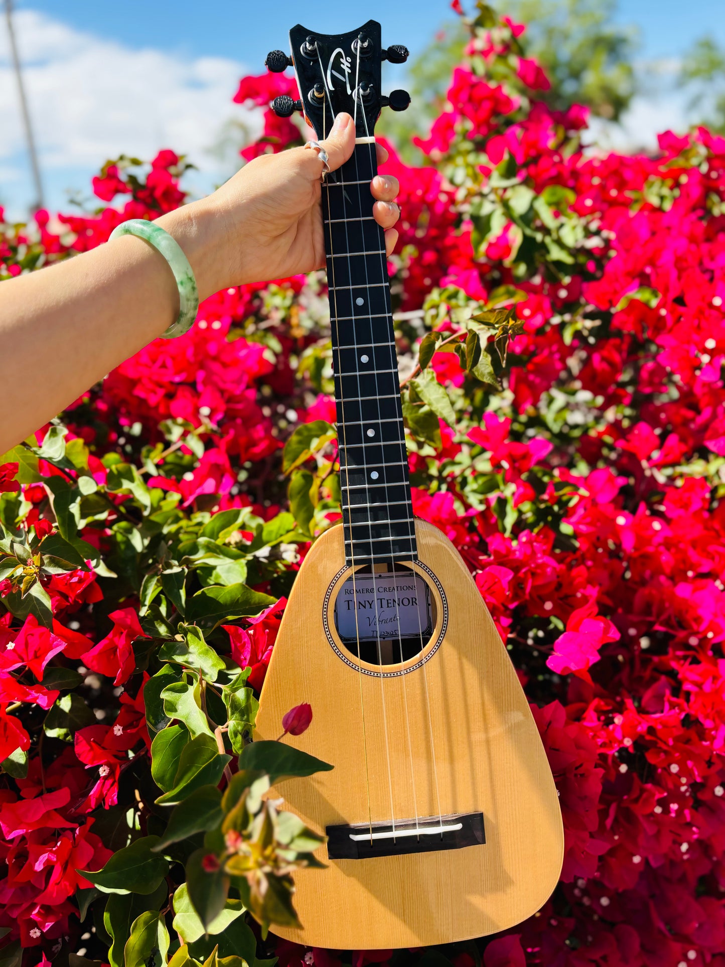 Gorgeous "Vibrante" Spruce Top Tiny Tenor Low G Ukulele Bundle Includes Case, Shipping, Humidifier and More!