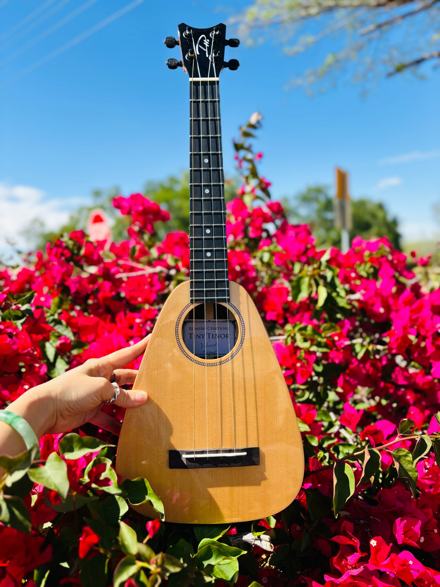 Gorgeous "Vibrante" Spruce Top Tiny Tenor Low G Ukulele Bundle Includes Case, Shipping, Humidifier and More!