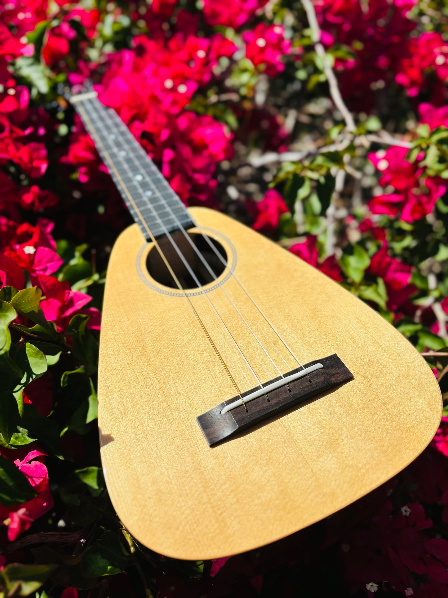 Gorgeous "Vibrante" Spruce Top Tiny Tenor Low G Ukulele Bundle Includes Case, Shipping, Humidifier and More!